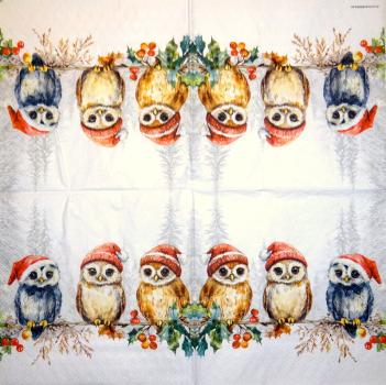 116 Owls - ply - Kalamazoo - CS - 24x24cm
